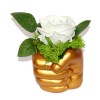 Hand golden fist plaster cast white eternal rose moss chrobotek