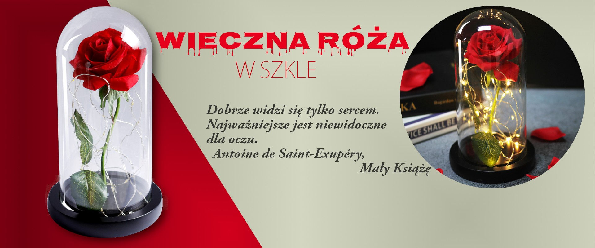 wieczna-roża